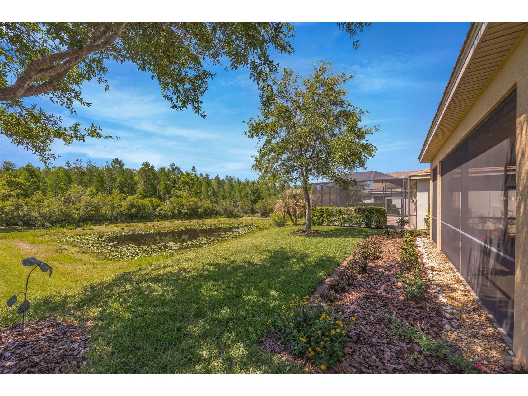 2415 Oakwood Preserve Drive Wesley Chapel FL 33543 TB8499674 image53