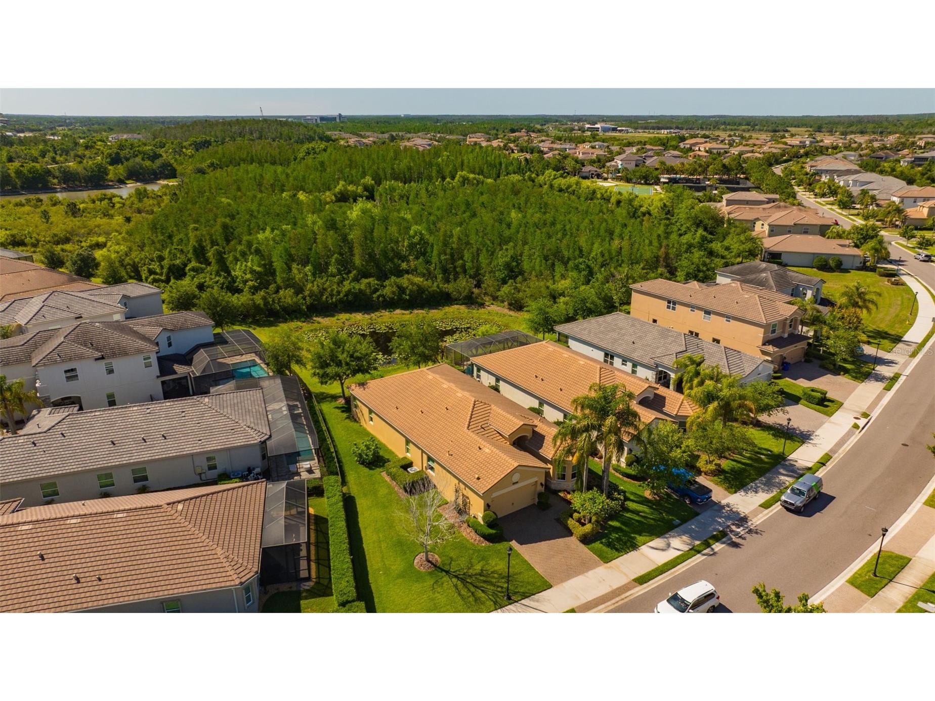 2415 Oakwood Preserve Drive Wesley Chapel FL 33543 TB8499674 image56