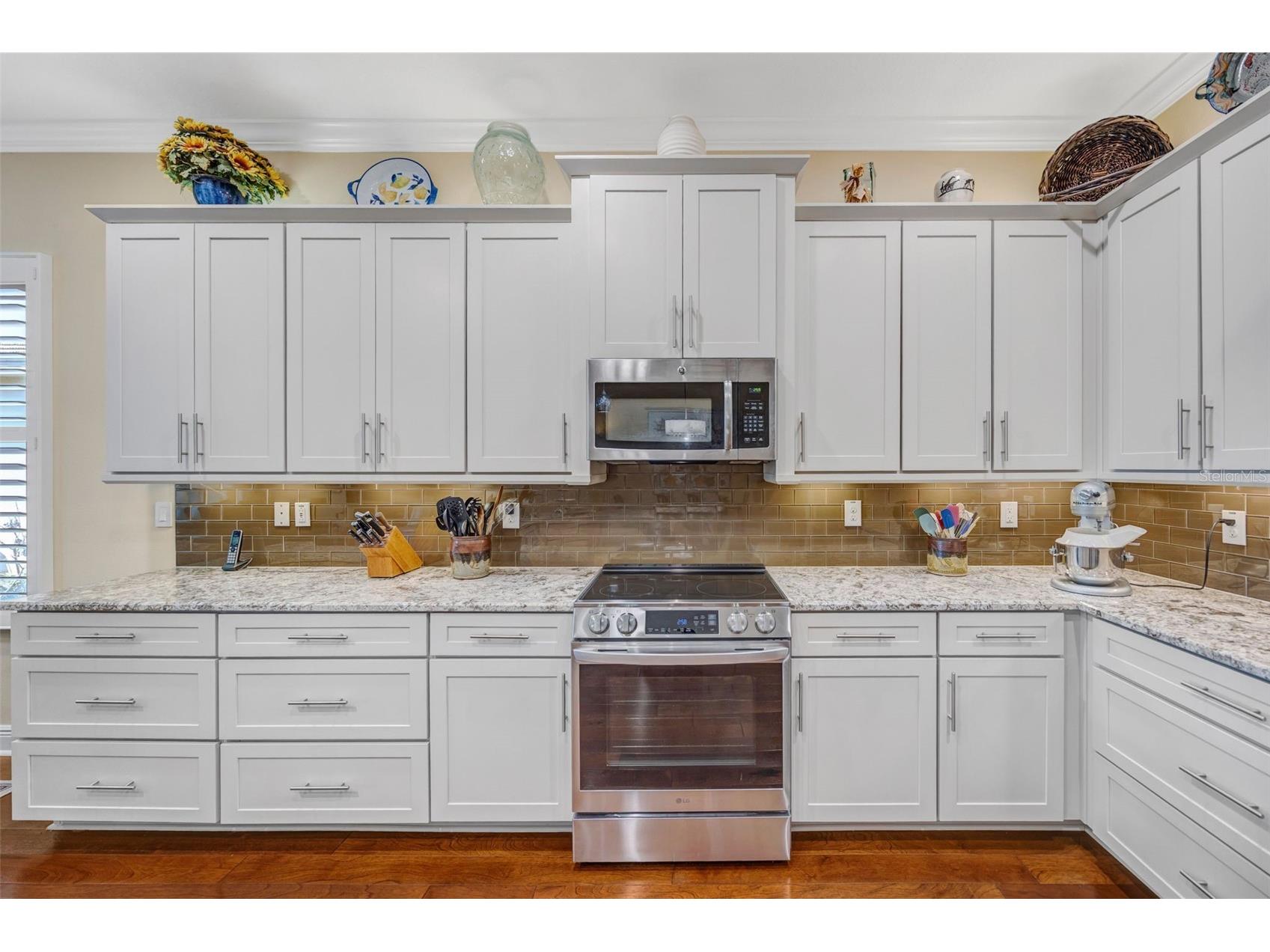 2415 Oakwood Preserve Drive Wesley Chapel FL 33543 TB8499674 image9