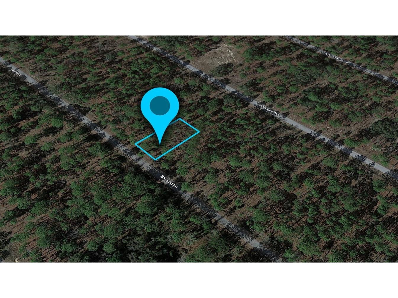 24159 NW Banyan Lane Dunnellon FL 34431 G5084054 image1