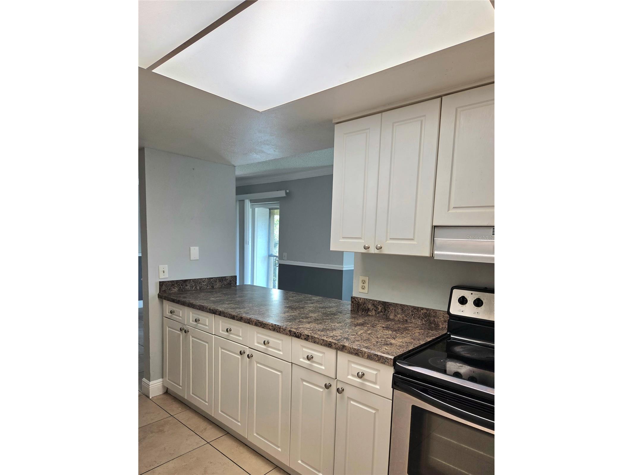 2416 Barley Club Court #4 Orlando FL 32837 O6410756 image8