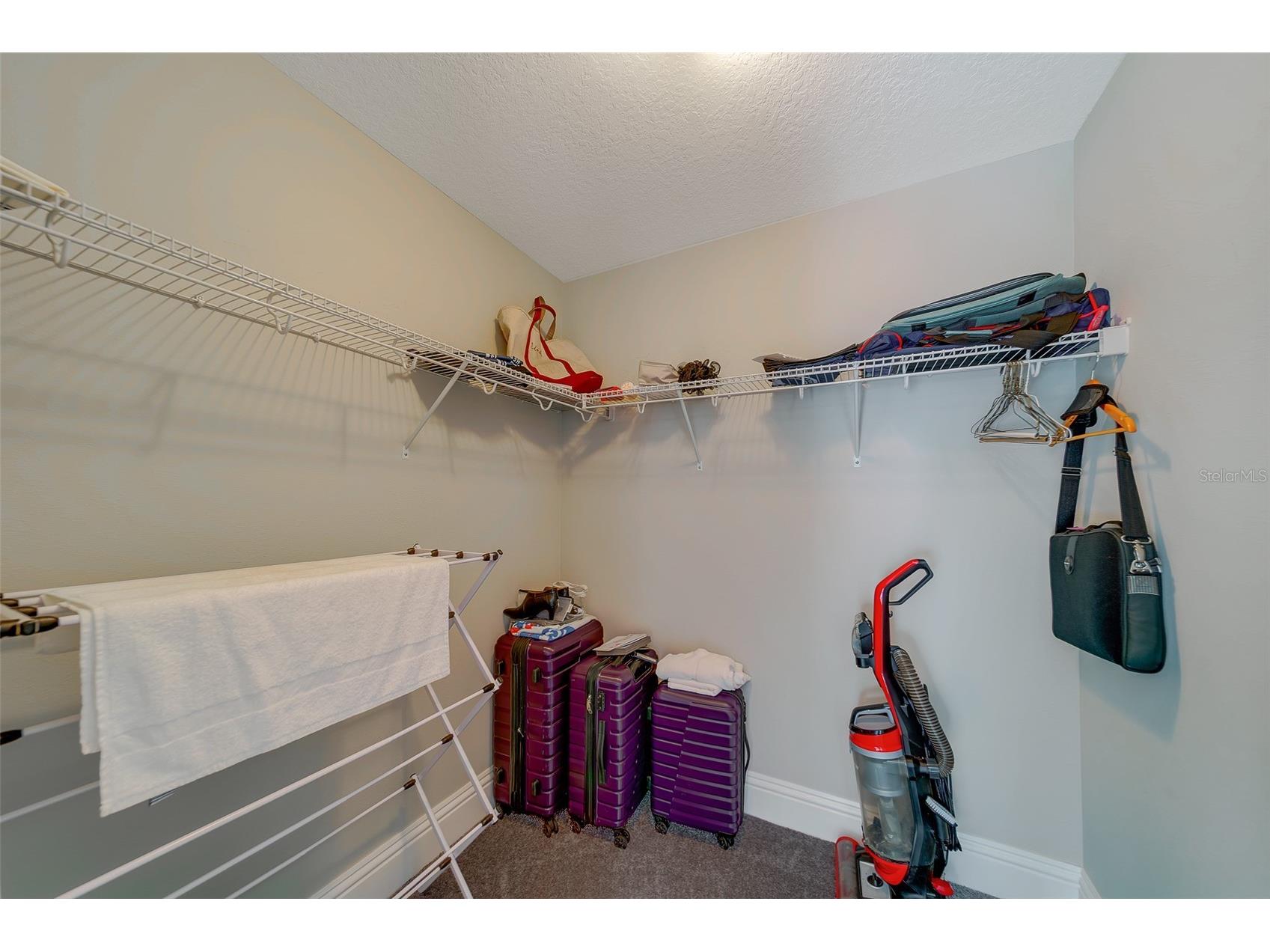 2416 Foggy Creek Circle Clearwater FL 33764 TB8475183 image35