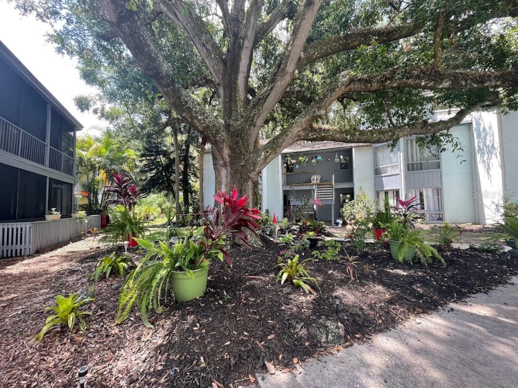 2416 Lemon Tree Lane #F Orlando FL 32839 O6119206 image1