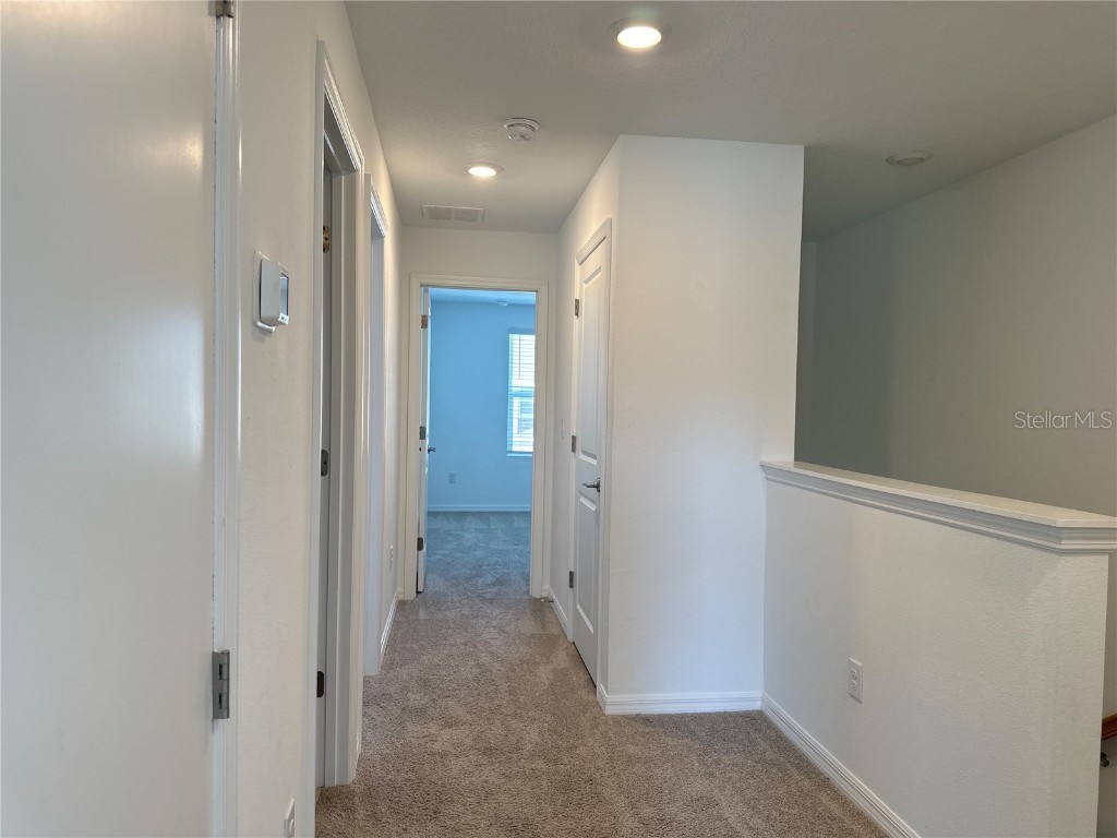 2416 Paravane Way Wesley Chapel FL 33543 TB8440365 image21