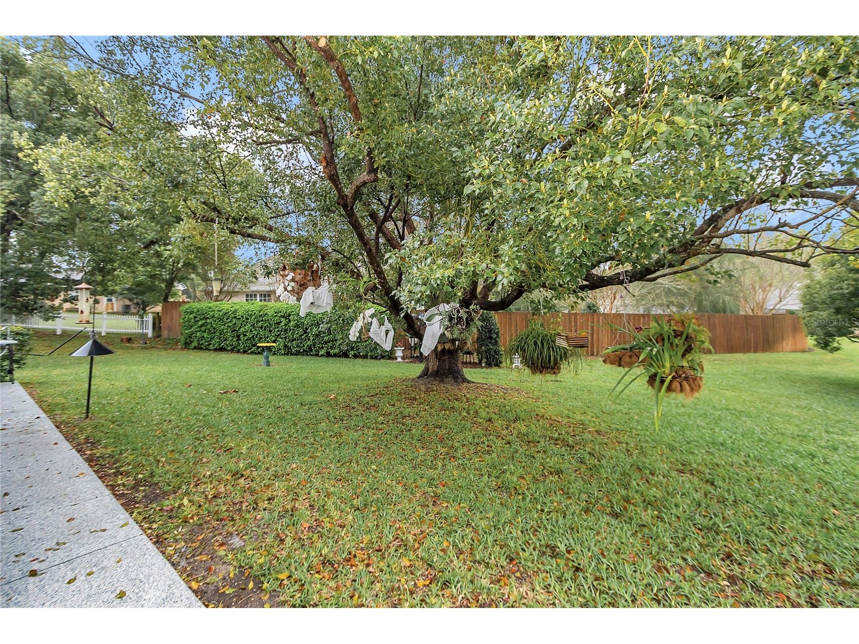 2416 SE 18th Circle Ocala FL 34471 OM720910 image28