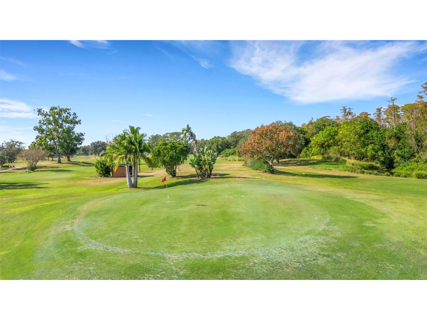 2416 World Parkway Boulevard #8 Clearwater FL 33763 TB8455175 image45