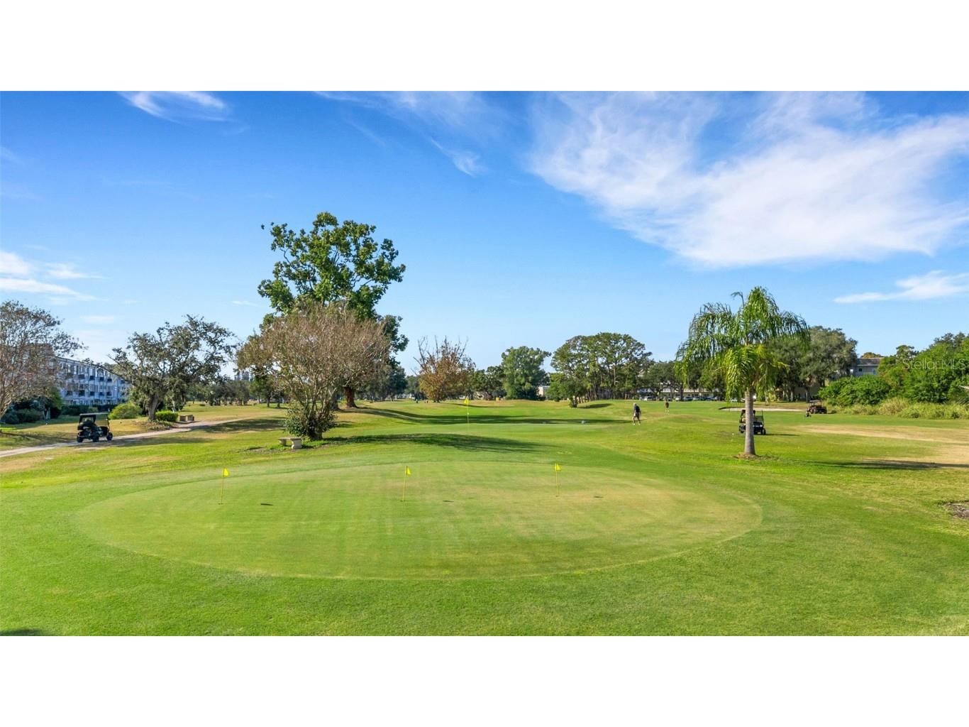 2416 World Parkway Boulevard #8 Clearwater FL 33763 TB8455175 image46