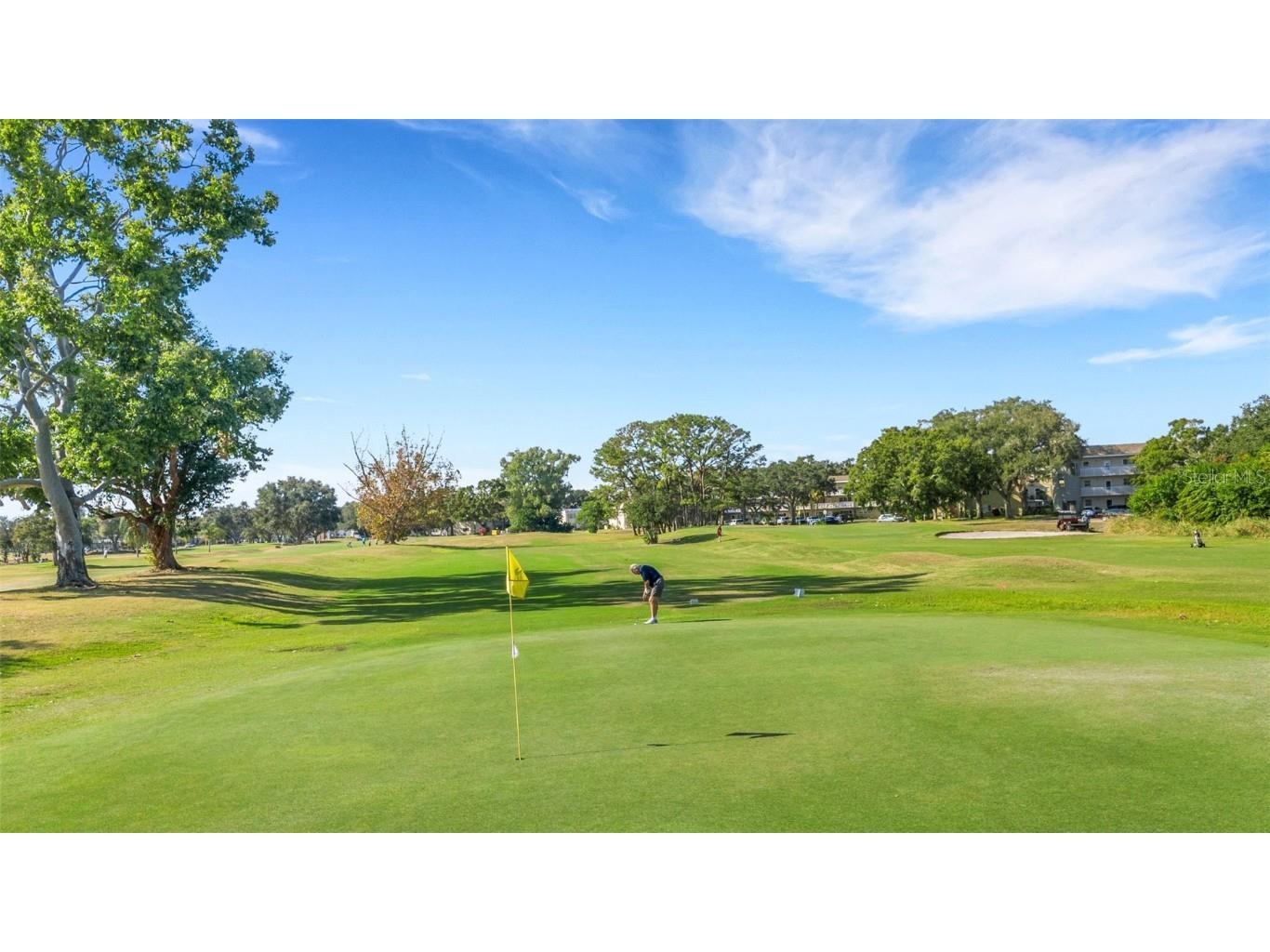 2416 World Parkway Boulevard #8 Clearwater FL 33763 TB8455175 image47