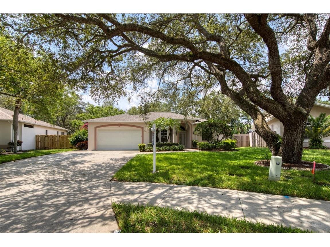 2417 Dana Drive Safety Harbor FL 34695 U8209462 image1