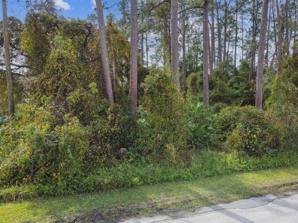 2417 E Lake Drive Deland FL 32724 W7874735 image13