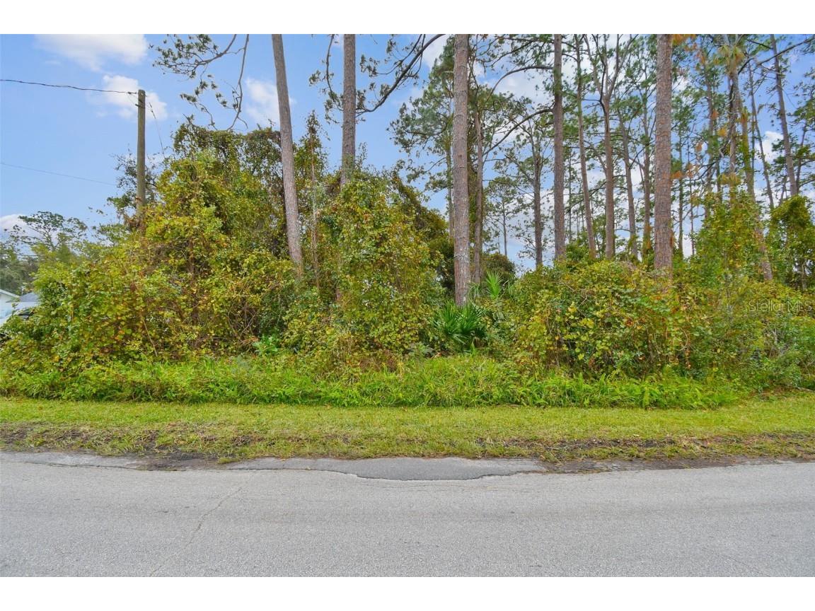 2417 E Lake Drive Deland FL 32724 W7874735 image14