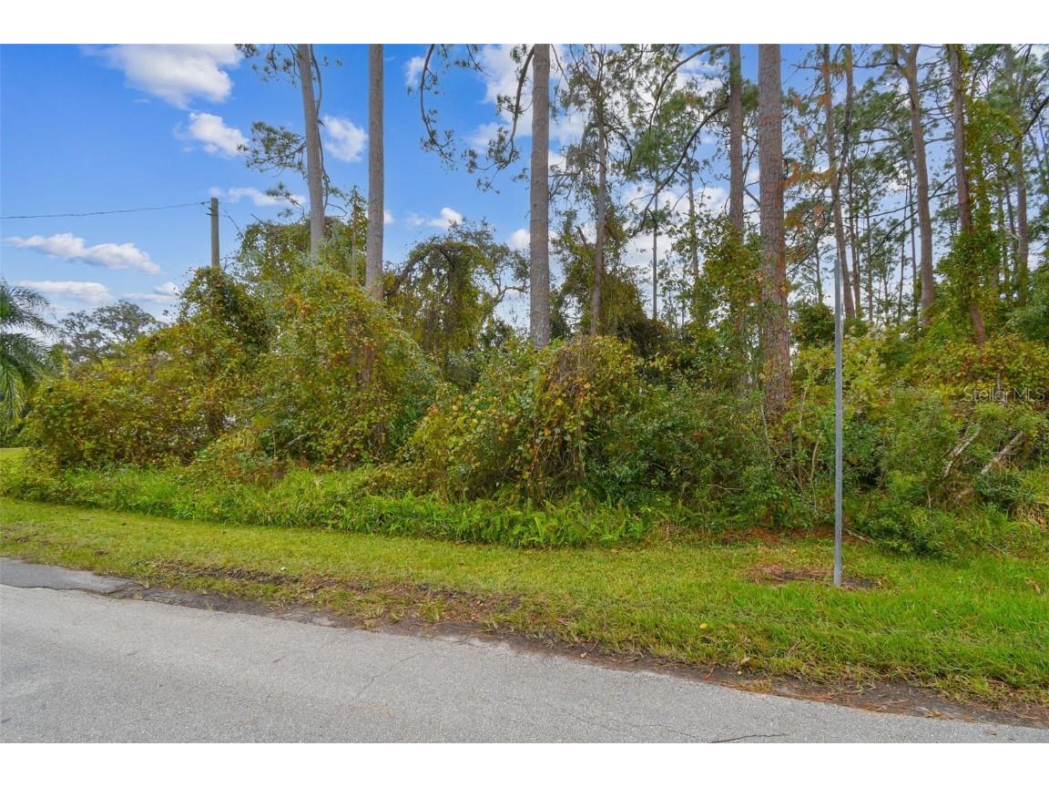 2417 E Lake Drive Deland FL 32724 W7874735 image15