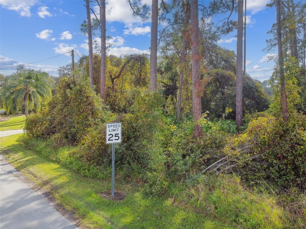 2417 E Lake Drive Deland FL 32724 W7874735 image8