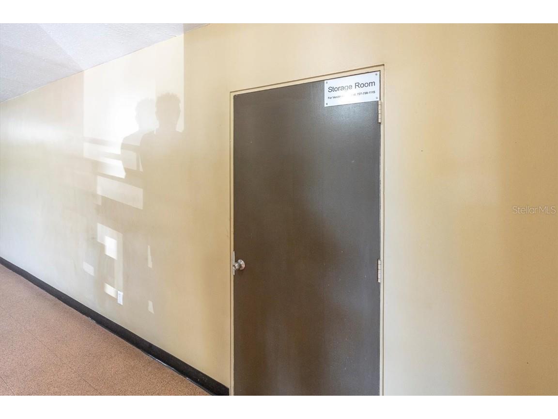 2417 Persian Drive #23 Clearwater FL 33763 TB8441189 image30