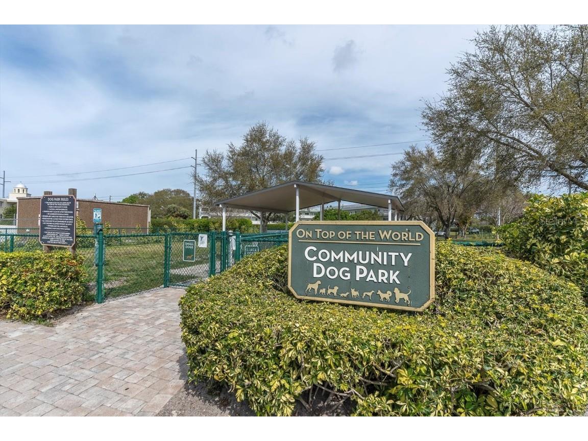 2417 Persian Drive #23 Clearwater FL 33763 TB8441189 image35