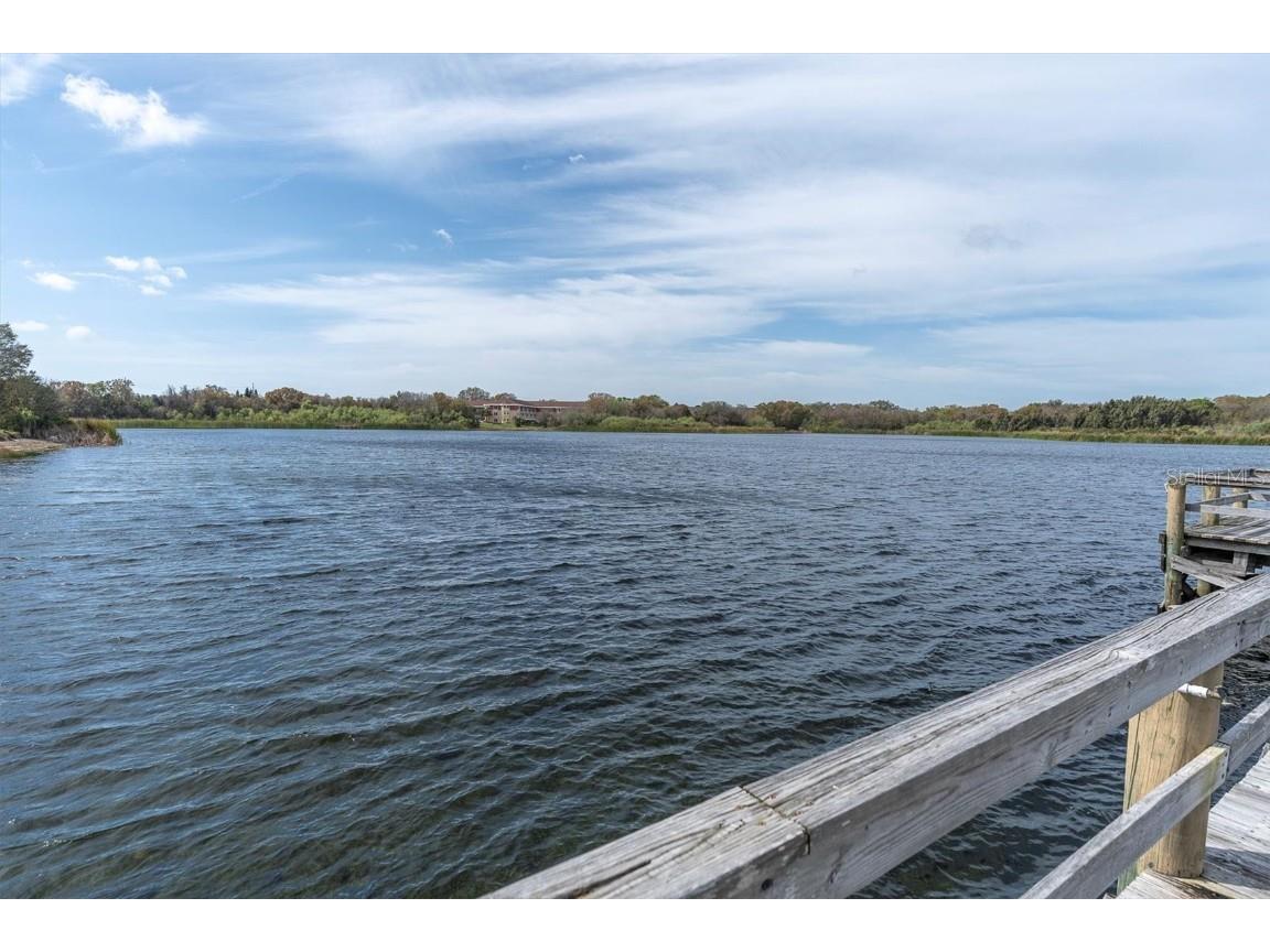 2417 Persian Drive #23 Clearwater FL 33763 TB8441189 image38