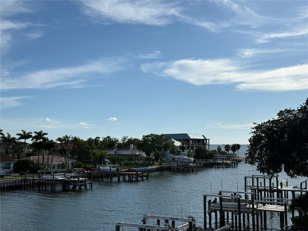 2417 S Dundee Street Tampa FL 33629 T3386132 image11