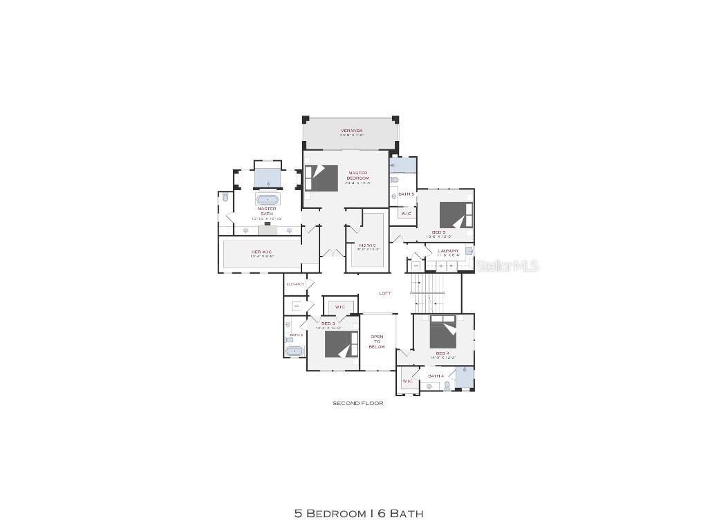 2417 S Dundee Street Tampa FL 33629 T3386132 image4