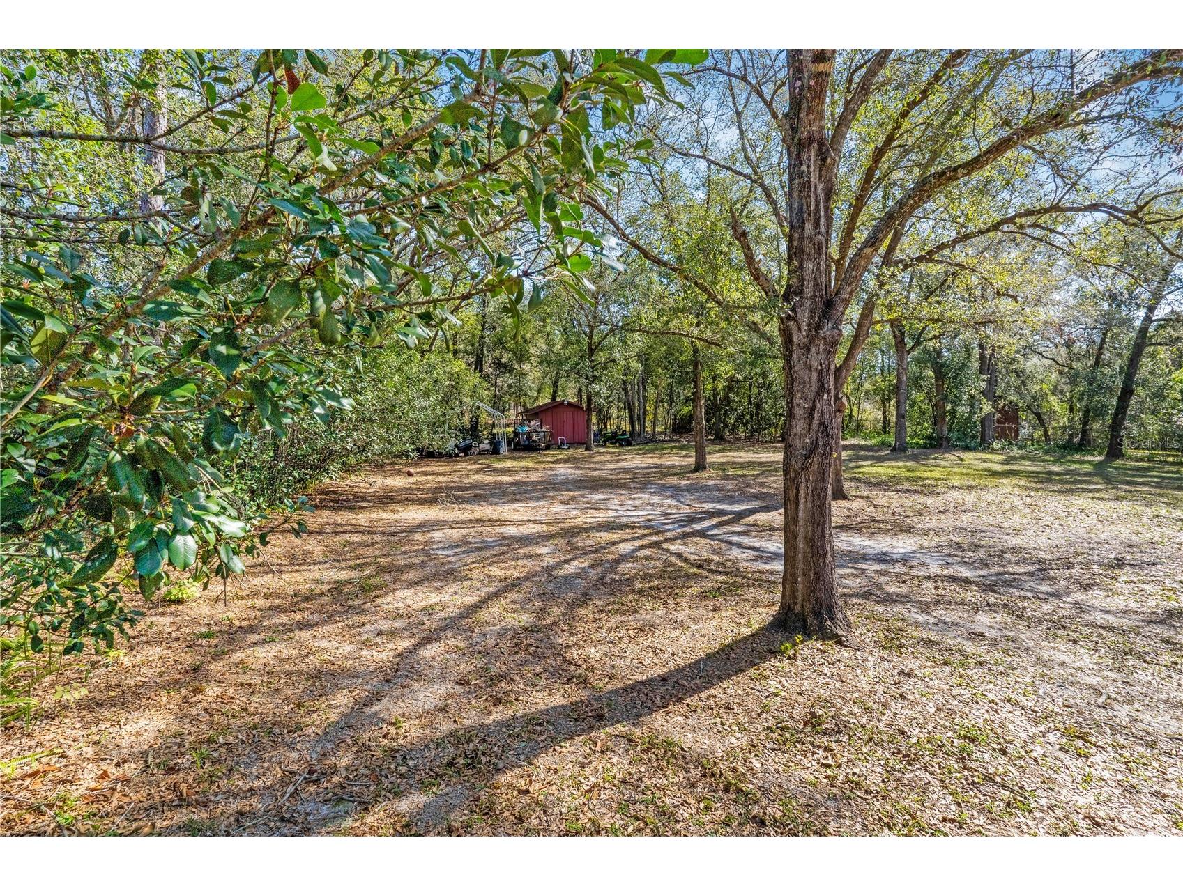 2417 S Oak Park Drive Deland FL 32724 V4946857 image19