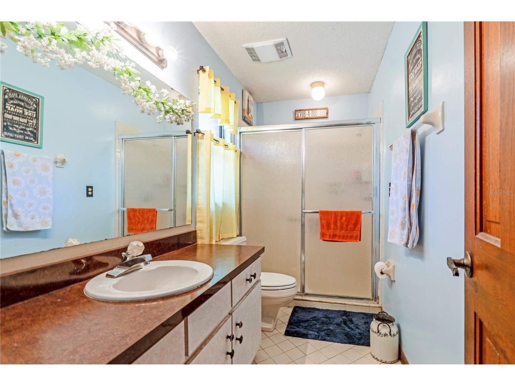 2417 S Oak Park Drive Deland FL 32724 V4946857 image7