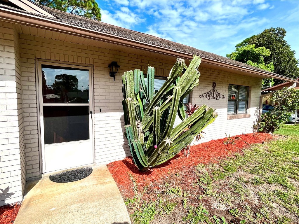 2417 Sabal Palm Drive Edgewater FL 32141 NS1082267 image9