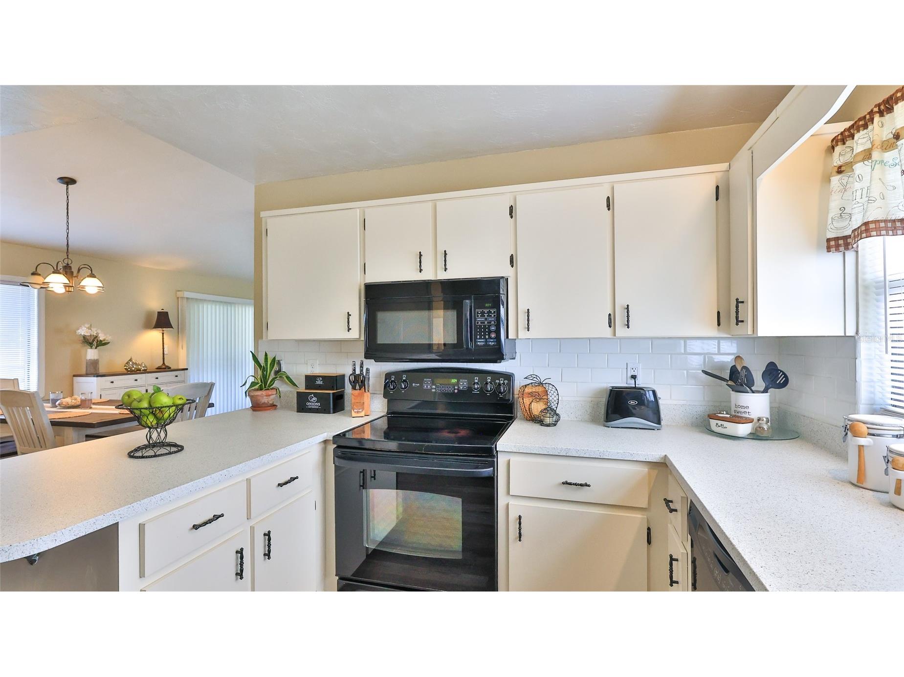 2417 Sabal Palm Drive Edgewater FL 32141 NS1087646 image14