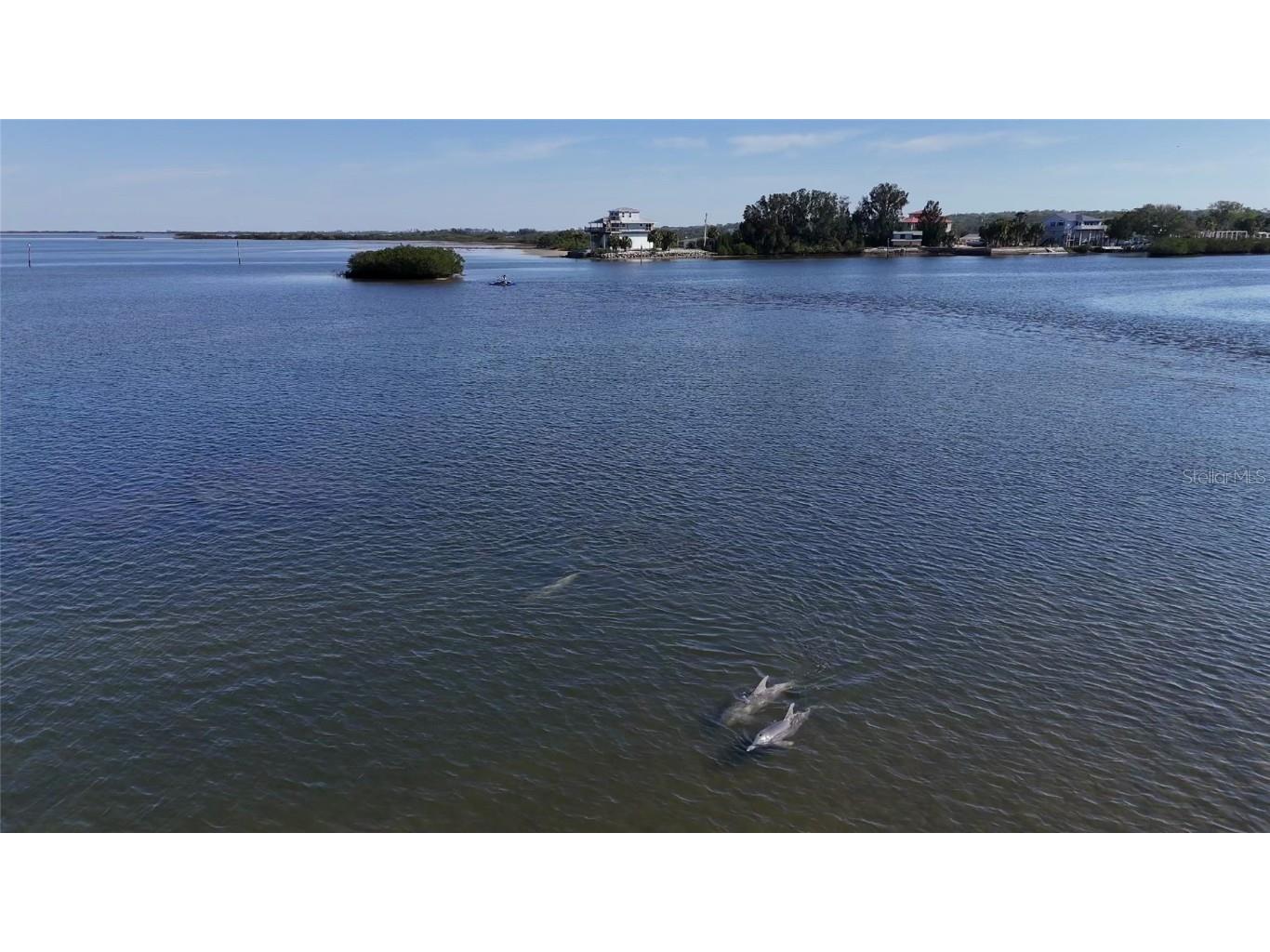 2417 Sunset Vista Drive Spring Hill FL 34607 - GULF OF MEXICO TB8380397 image49