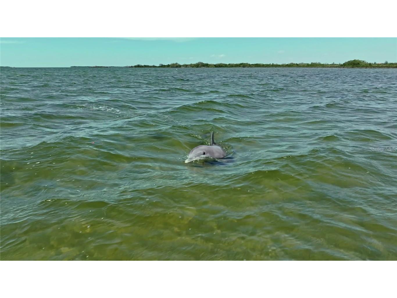 2417 Sunset Vista Drive Spring Hill FL 34607 - GULF OF MEXICO TB8380397 image5