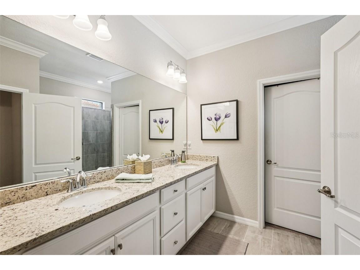 24176 Spartina Drive Venice FL 34293 TB8424924 image29