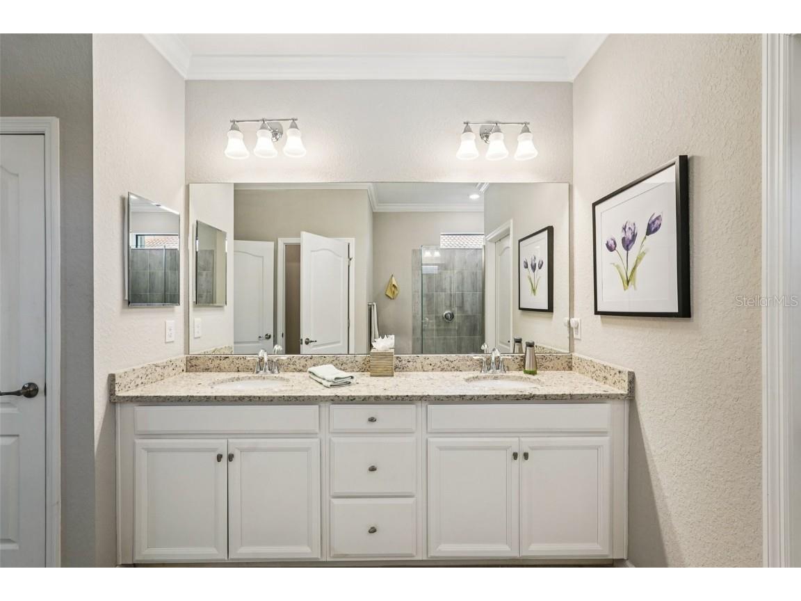 24176 Spartina Drive Venice FL 34293 TB8424924 image32