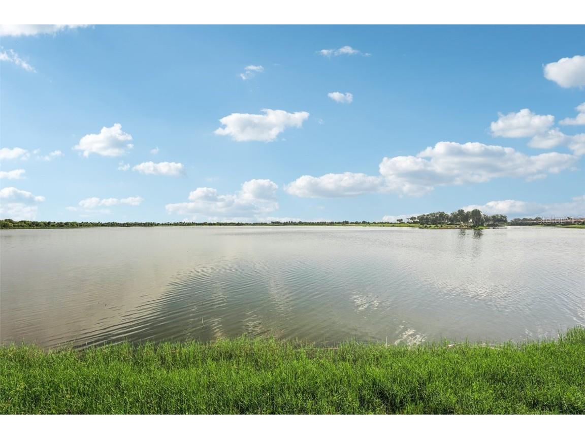 24176 Spartina Drive Venice FL 34293 TB8424924 image34