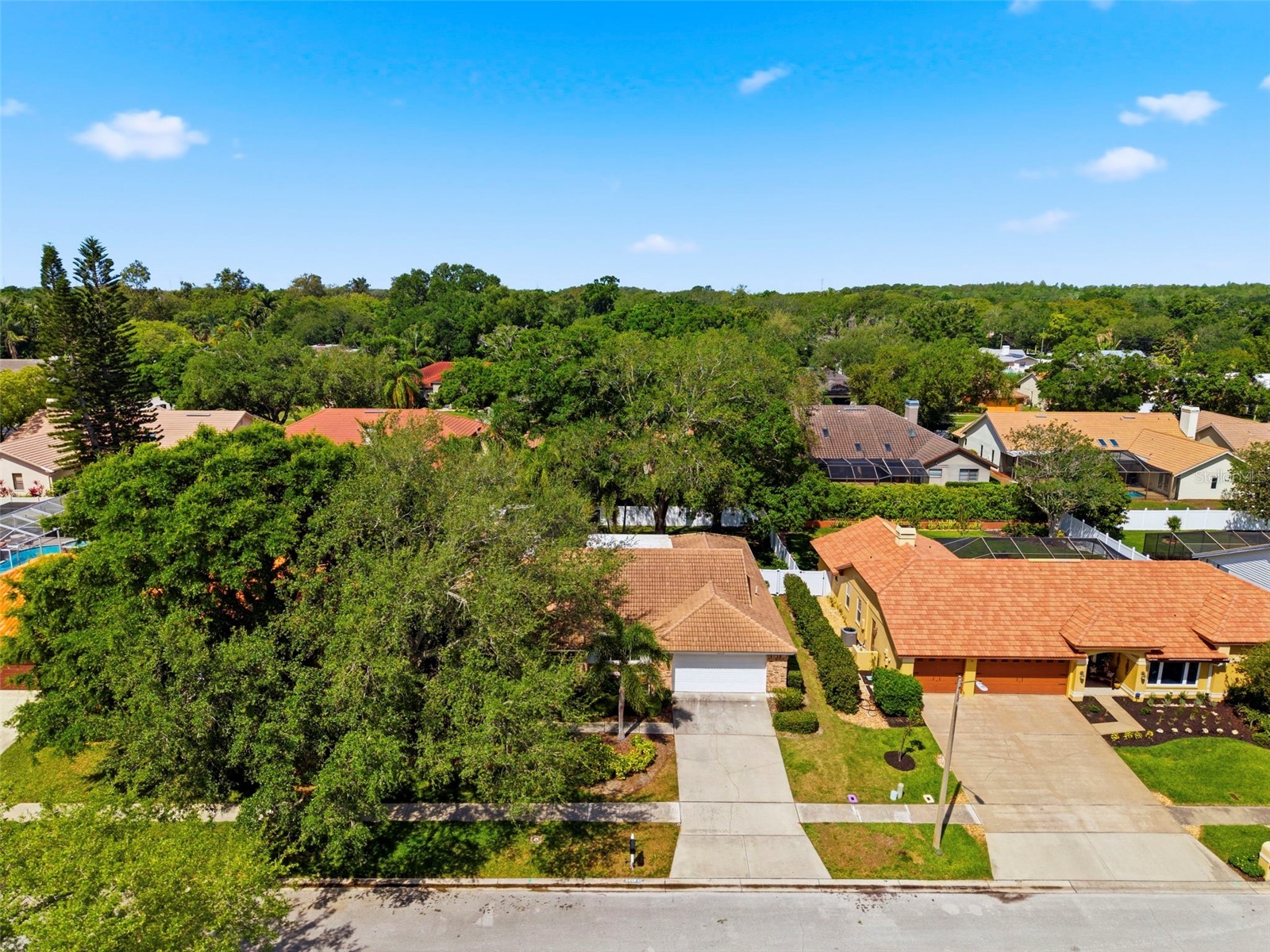 2418 Anthony Avenue Clearwater FL 33759 TB8498313 image54