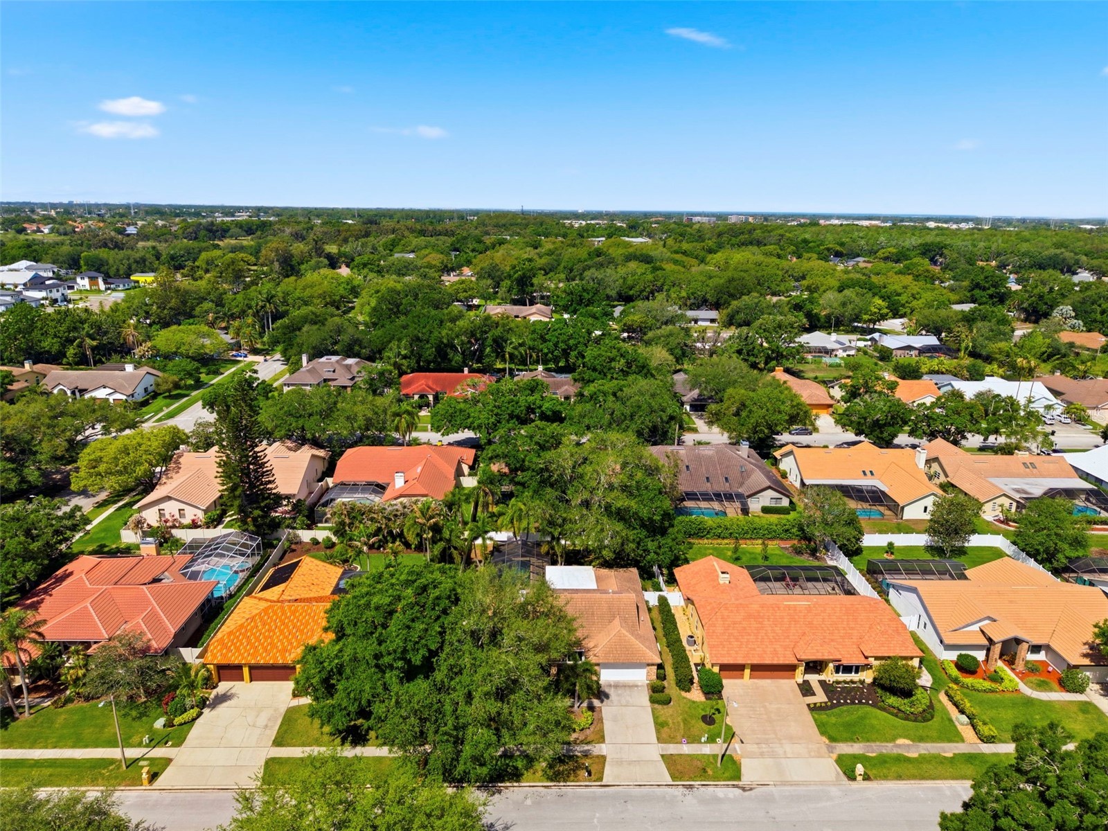 2418 Anthony Avenue Clearwater FL 33759 TB8498313 image56