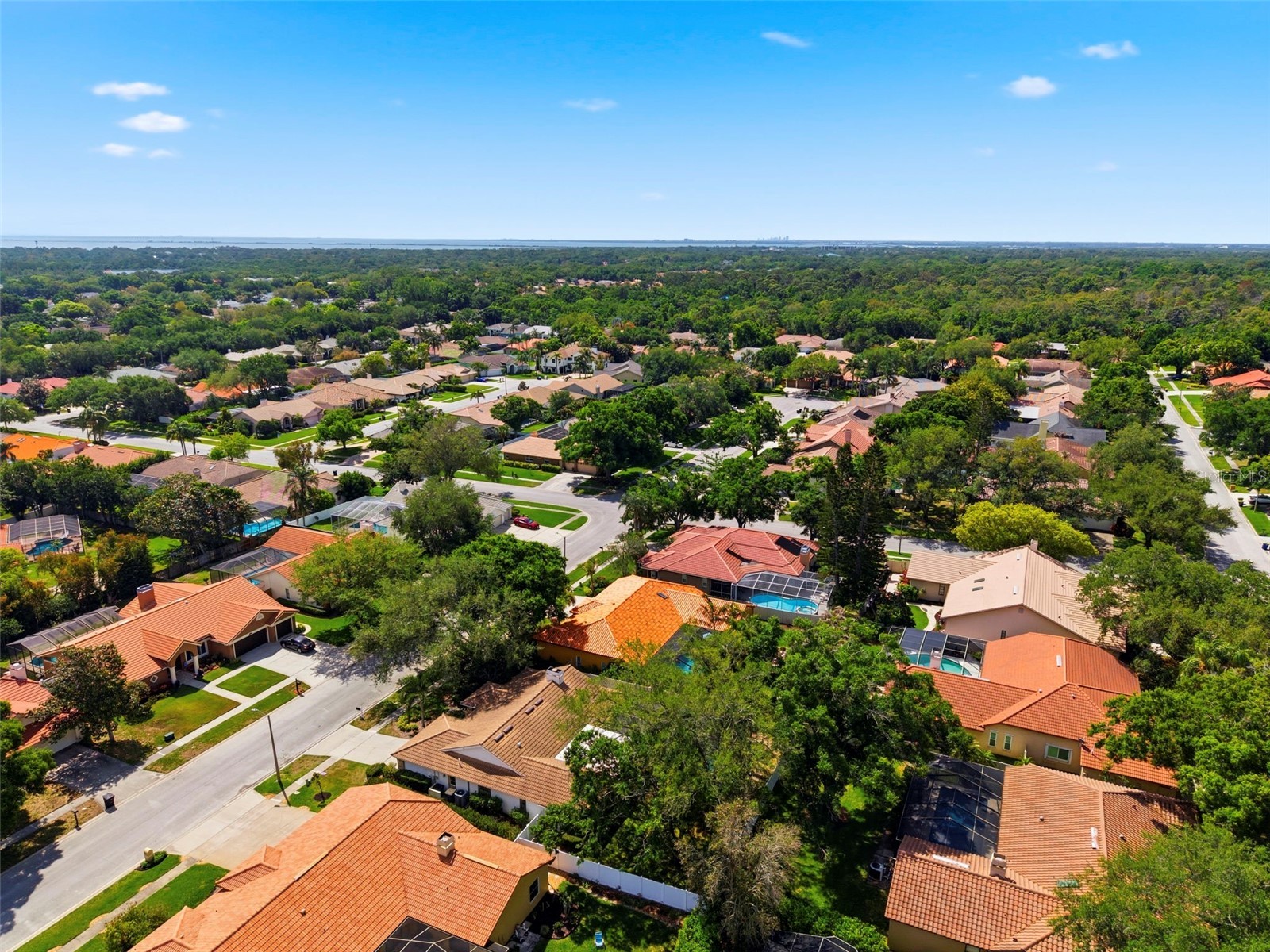 2418 Anthony Avenue Clearwater FL 33759 TB8498313 image57