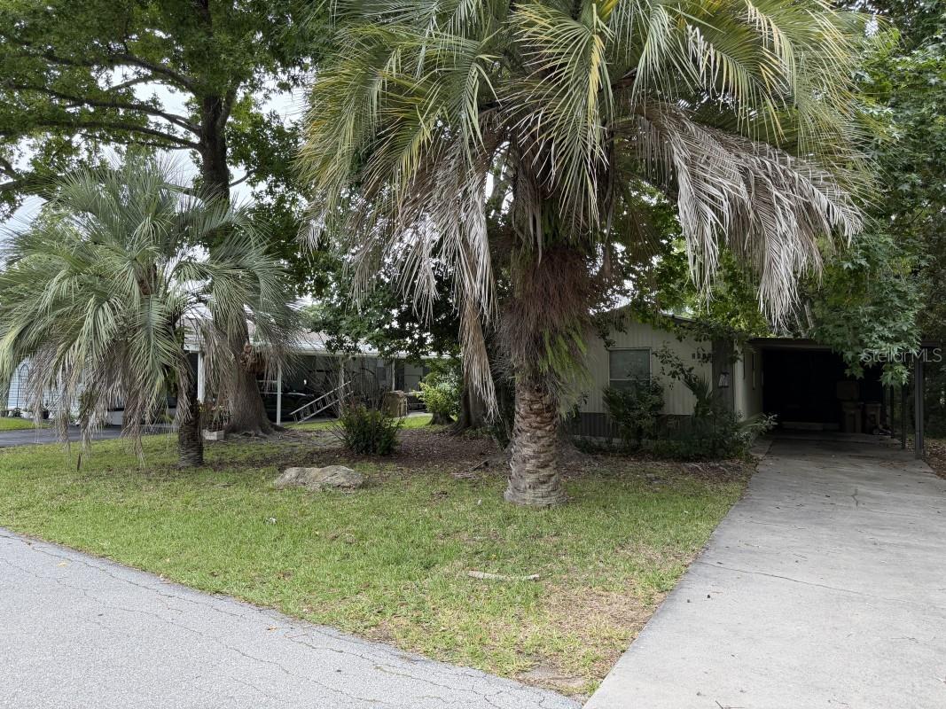 2418 Dora Pines Road Mount Dora FL 32757 A4696744 image1
