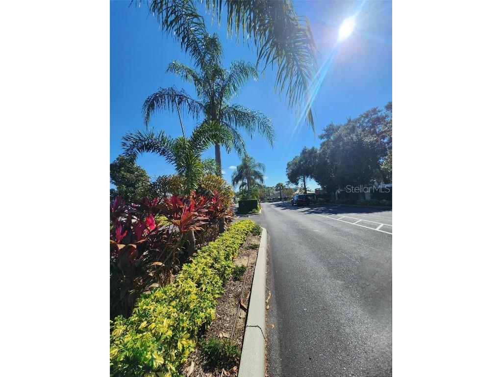 2418 Limewood Avenue #302 Clermont FL 34714 TB8448872 image27