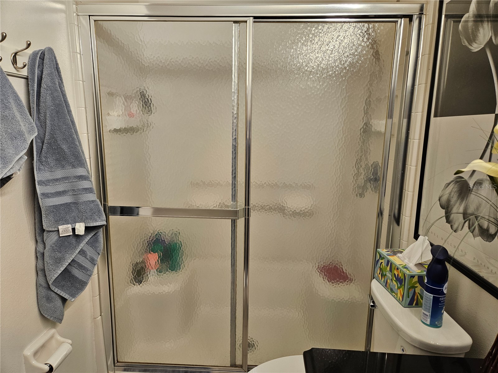 2418 Nantucket Field Way Sun City Center FL 33573 TB8484187 image16