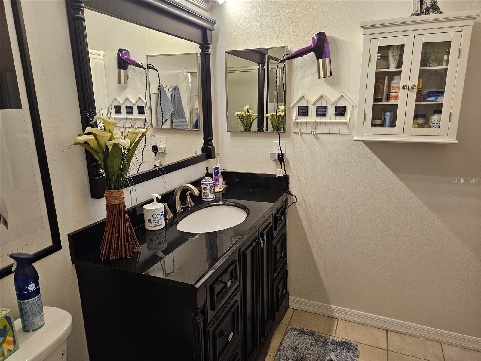 2418 Nantucket Field Way Sun City Center FL 33573 TB8484187 image18