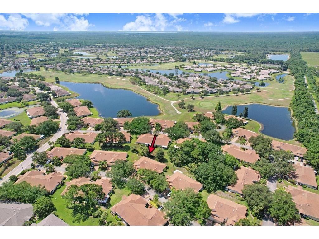 2418 New Haven Circle #83 Sun City Center FL 33573 TB8525118 image35
