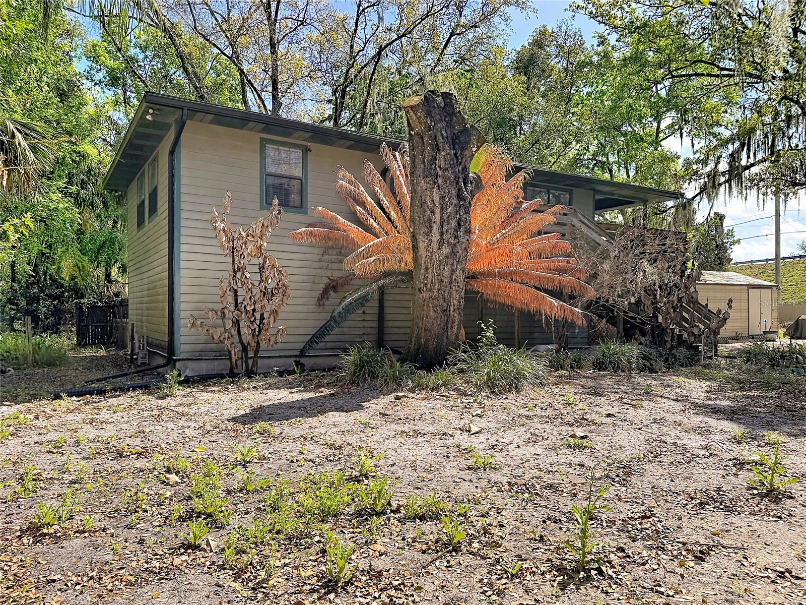 2418 W 1st Street Sanford FL 32771 TB8475362 image35