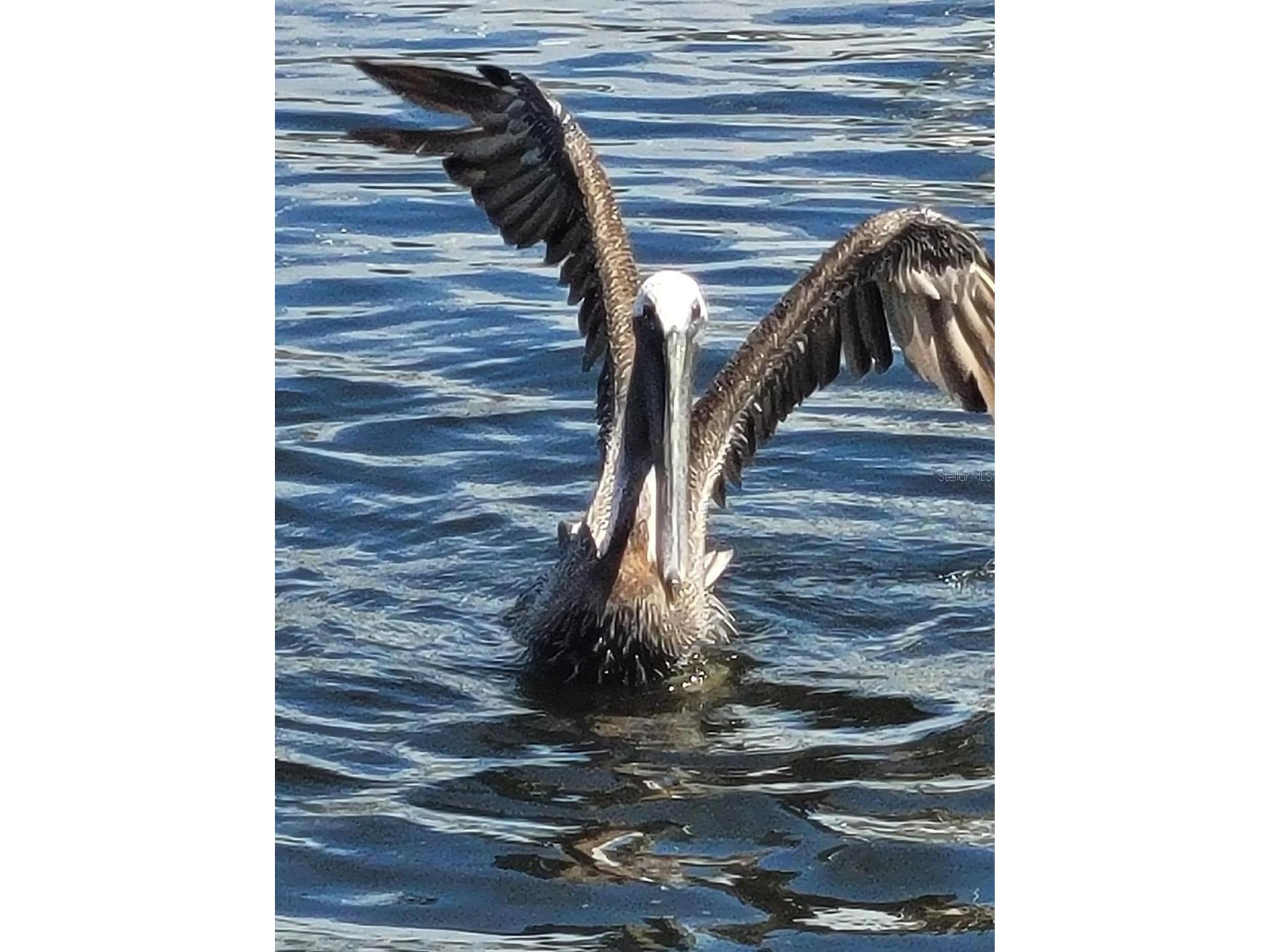 24183 Savory Lane Punta Gorda FL 33955 C7524493 image6