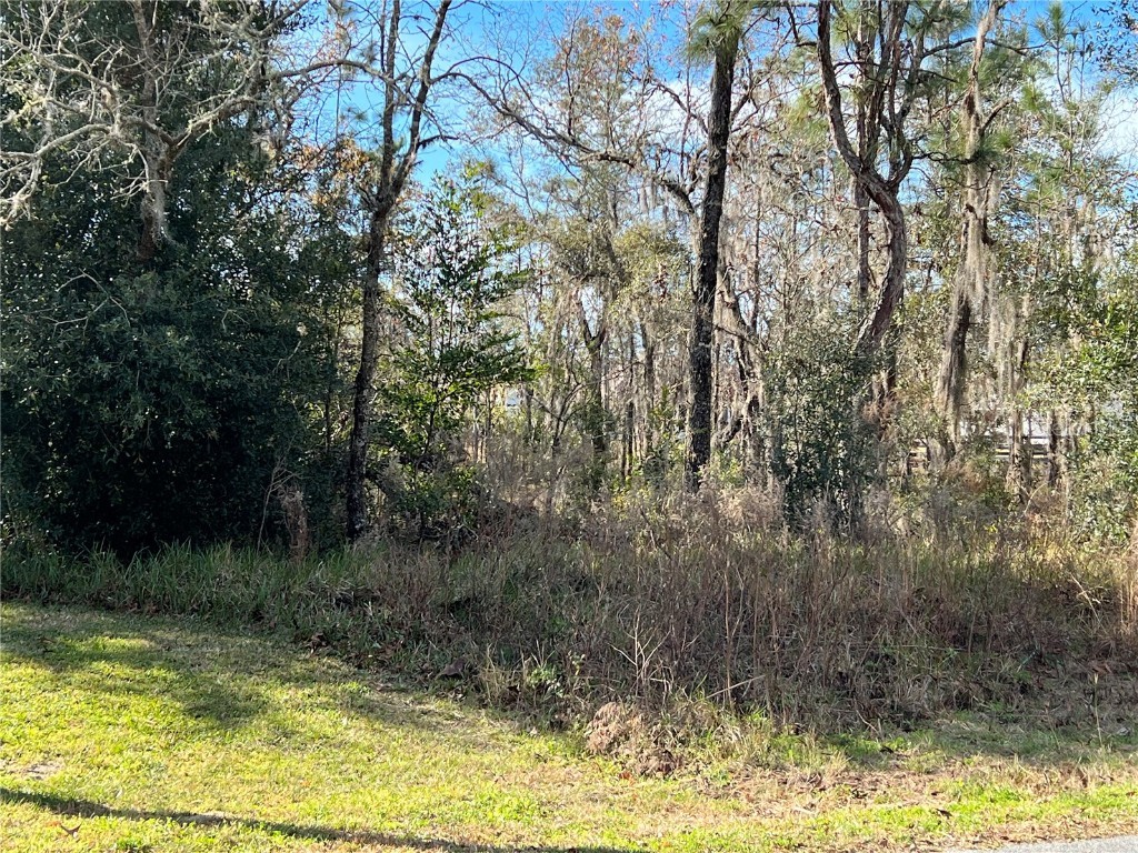 2419 E Marcia Street Inverness FL 34453 W7841610 image1