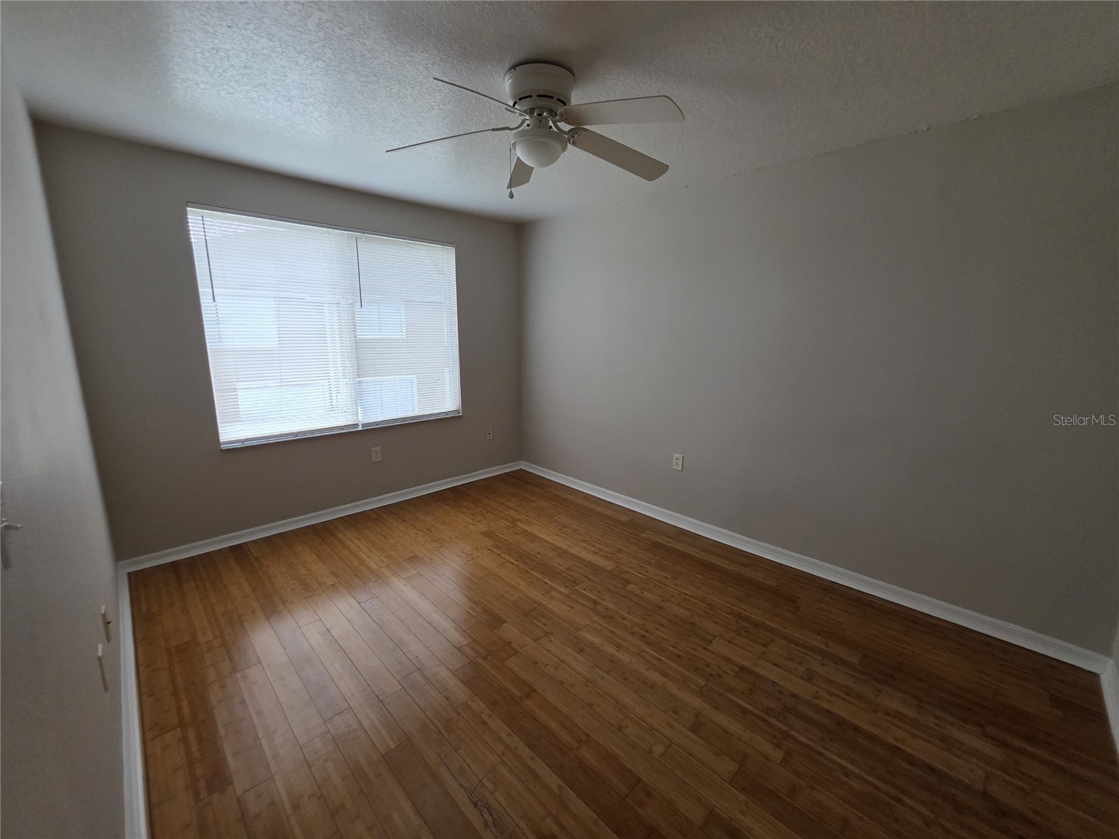 2419 Fan Palm Drive Davenport FL 33897 S5153562 image17