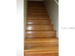2419 Fan Palm Drive Davenport FL 33897 S5153562 image9