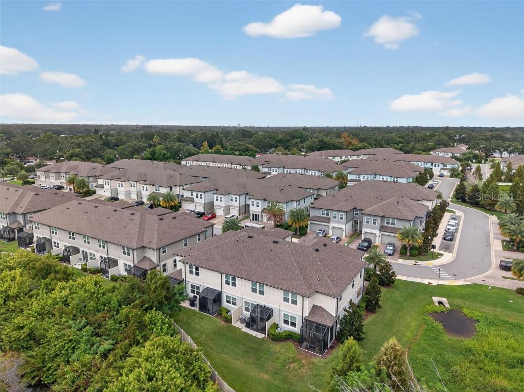 2419 Foggy Creek Circle Clearwater FL 33764 TB8450474 image41