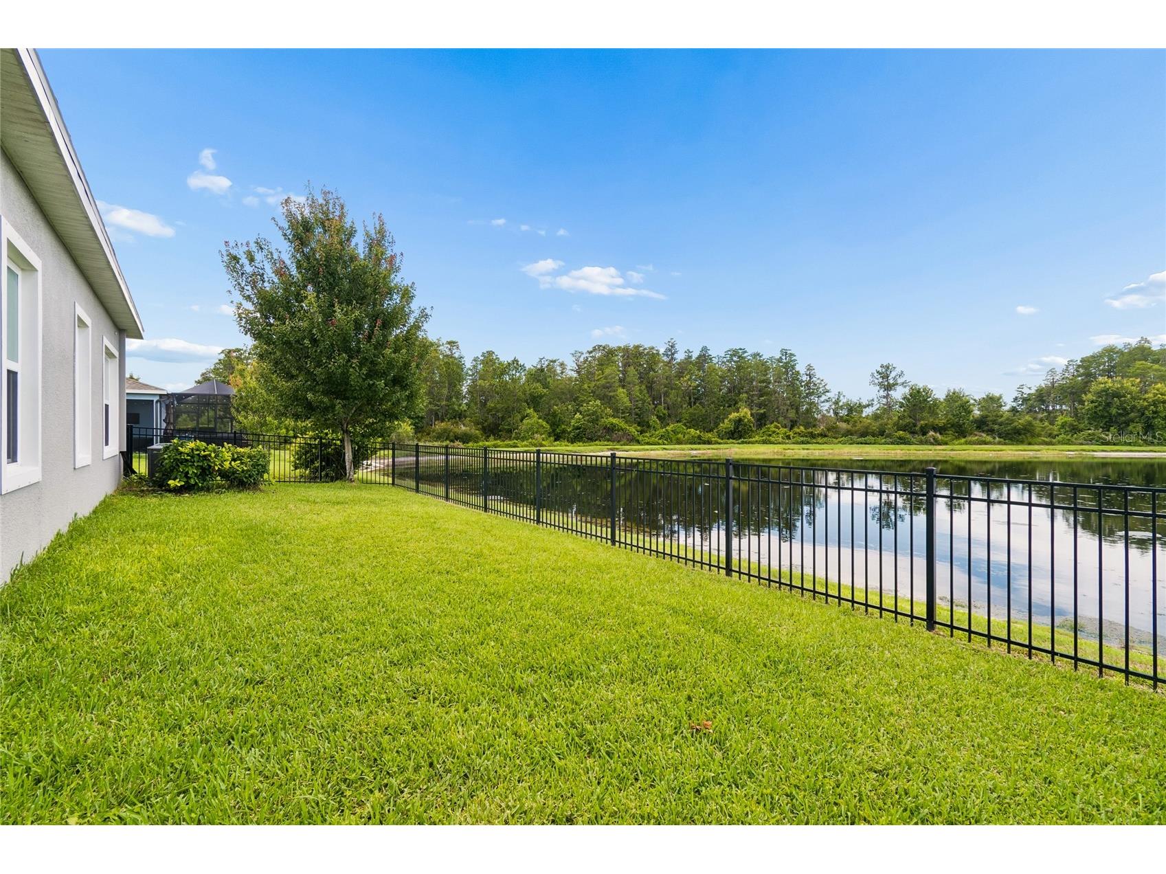 2419 Portico Street Odessa FL 33556 TB8525805 image34