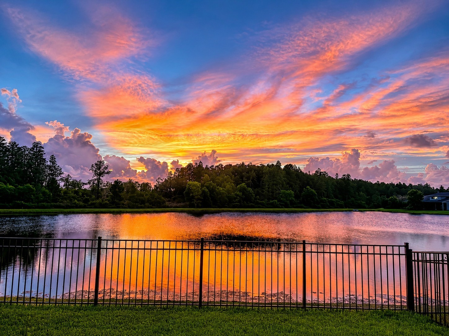 2419 Portico Street Odessa FL 33556 TB8525805 image40