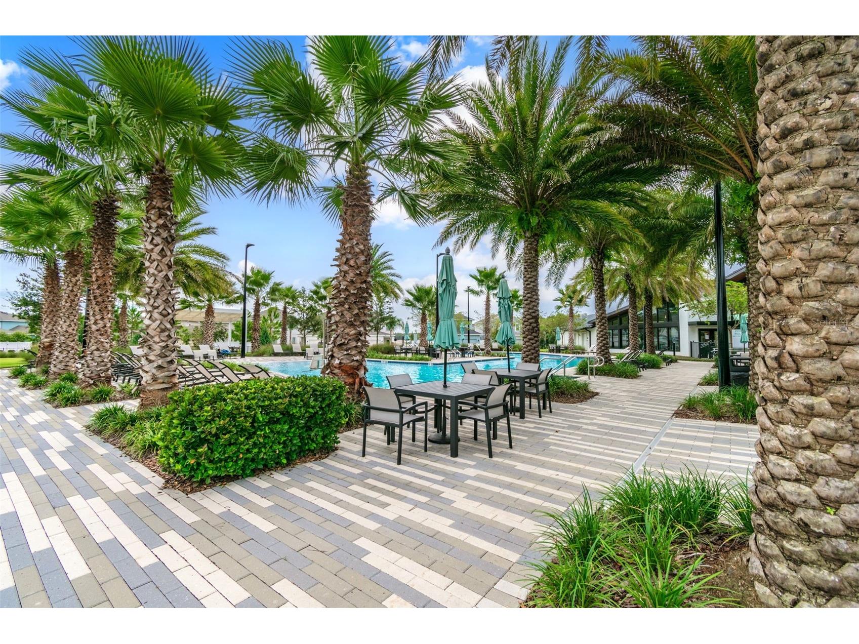 2419 Portico Street Odessa FL 33556 TB8525805 image48