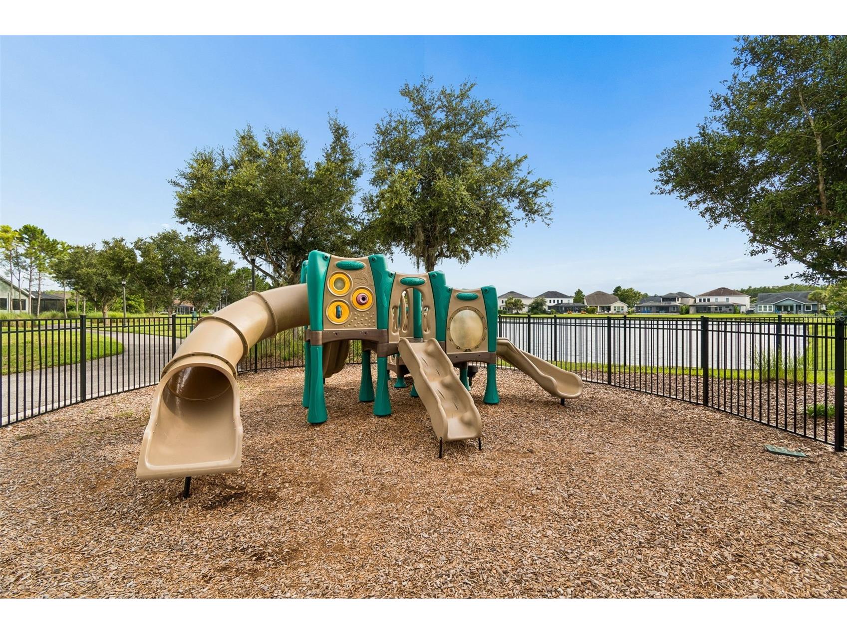 2419 Portico Street Odessa FL 33556 TB8525805 image54
