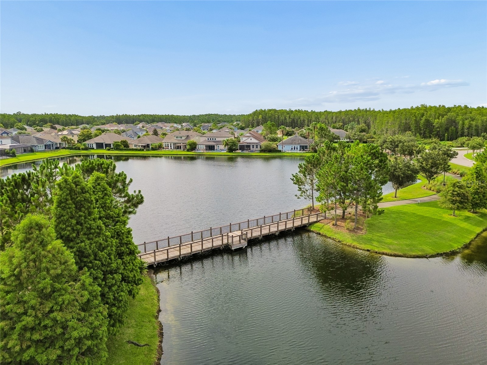2419 Portico Street Odessa FL 33556 TB8525805 image56